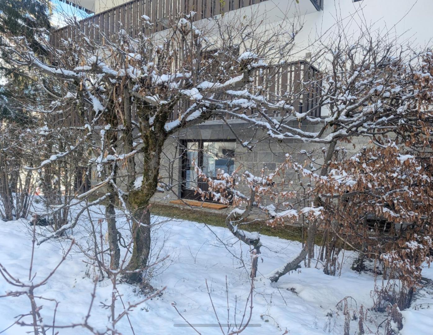Au Petit Bois Chamonix Exterior foto
