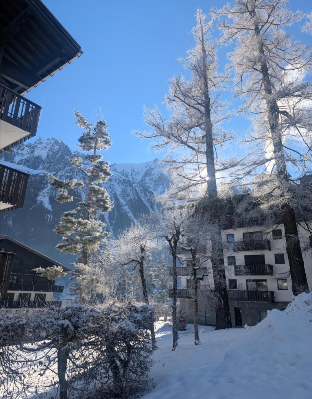 Au Petit Bois Chamonix Exterior foto